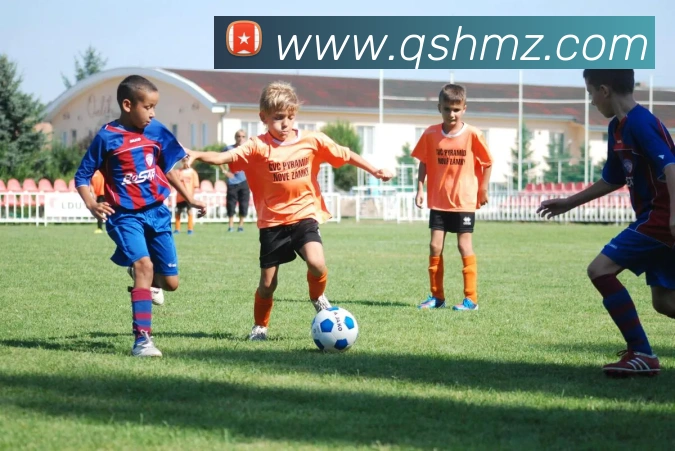 米兰体育官网登陆APP 封面图